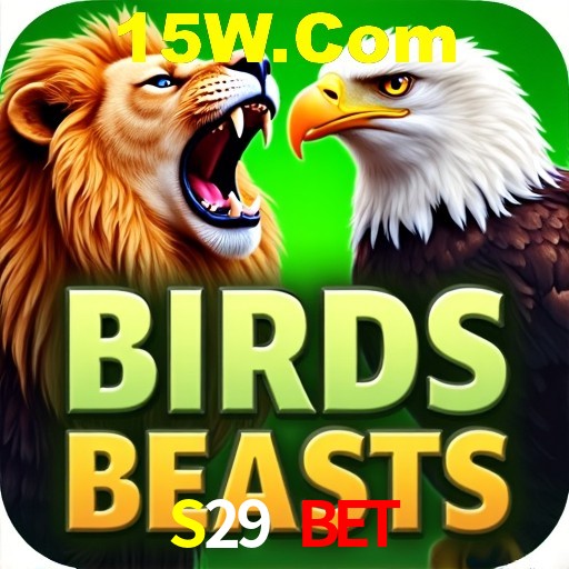 Interface do App S29 Bet